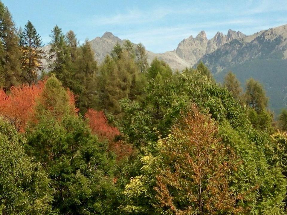 B & B La Guiette Casteldelfino Zewnętrze zdjęcie